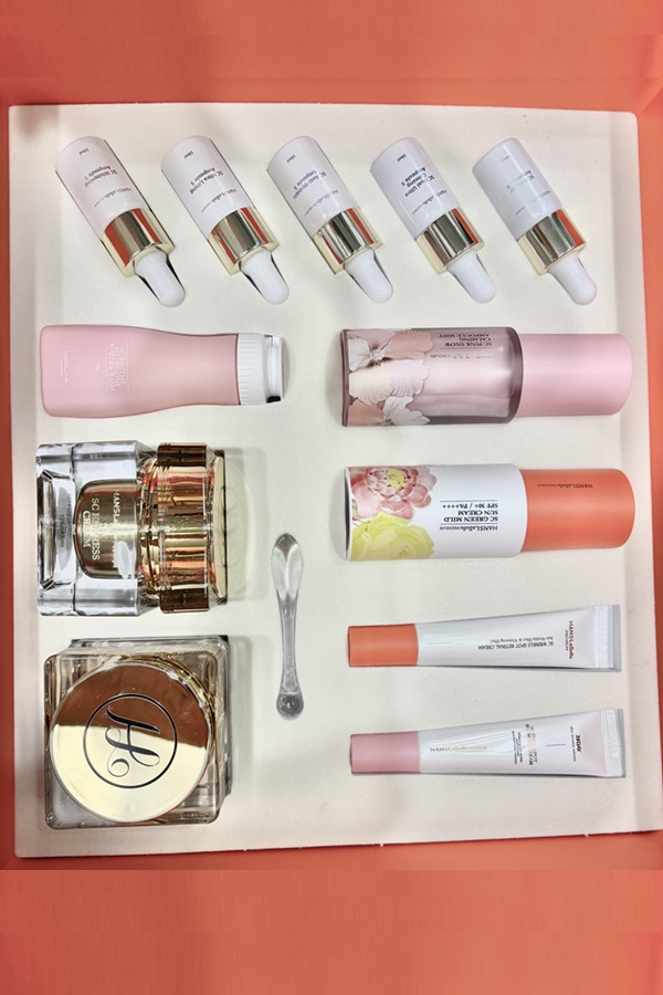 ハンスラベル　プレミアム　SC　スペシャルキット